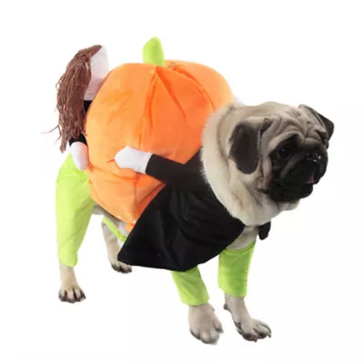 Product Pet Life Halloween Pumpkin Mon Dog & Cat Costume