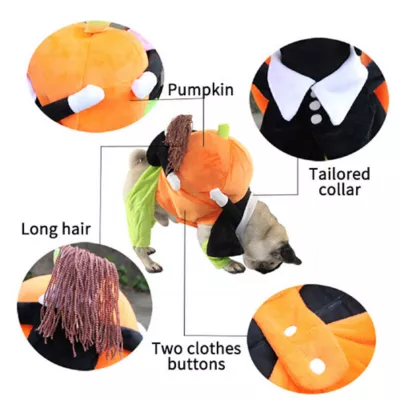 Product Pet Life Halloween Pumpkin Mon Dog & Cat Costume