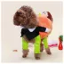 Pet Life Halloween Pumpkin Mon Dog & Cat Costume image thumbnail 4