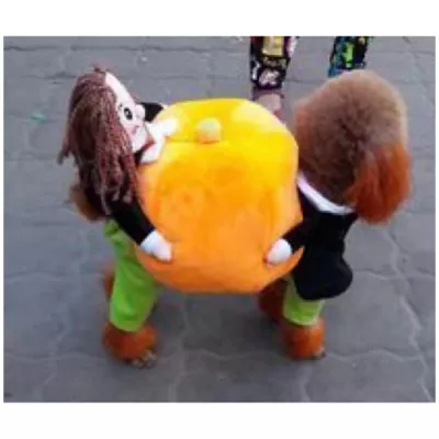 Product Pet Life Halloween Pumpkin Mon Dog & Cat Costume