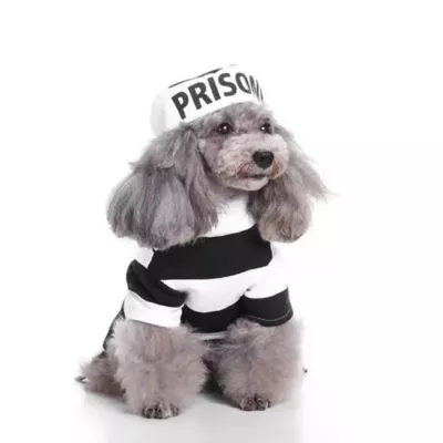Product Pet Life Halloween Striped Retro Inmate Prisoner Uniform Dog & Cat Costume