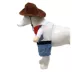 Pet Life Halloween Rodeo Bones Cowboy Dog & Cat Costume image thumbnail 2