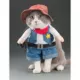 Product Pet Life Halloween Rodeo Bones Cowboy Dog & Cat Costume