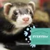 Oxbow Essentials Ferret Pellets - 4lb image thumbnail 2