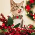 Made By Cleo® Holiday Holly Christmas Botanical Cat Bow Tie image thumbnail 3