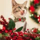 Product Made By Cleo® Holiday Holly Christmas Botanical Cat Bow Tie