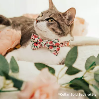 Product Made By Cleo® Juliet Floral Cat Bow Tie