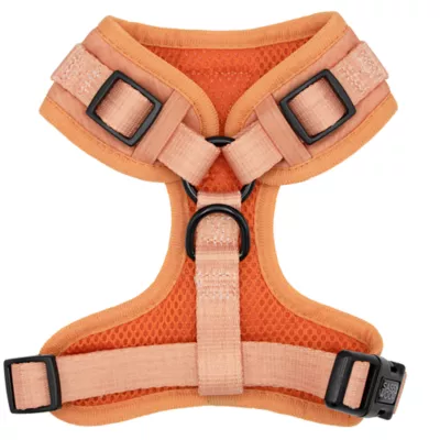 Product Sassy Woof Apple Cider Dog Harness