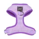 Product Sassy Woof Aurora Dog Harness