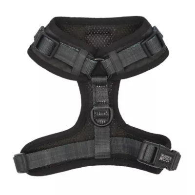 Sassy Woof Baby Got Black Dog Harness - Image 2