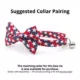 Product Made By Cleo® Americana Patriotic Cat Bow Tie