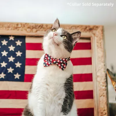 Product Made By Cleo® Americana Patriotic Cat Bow Tie