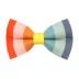 Made By Cleo® Carousel Rainbow Cat Bow Tie image thumbnail 1
