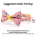 Made By Cleo® Confetti Sprinkles Birthday Cat Bow Tie image thumbnail 2