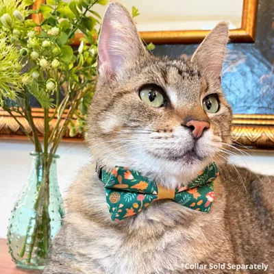 Product Made By Cleo® Forest Fantasy Woodland Botanical Cat Bow Tie