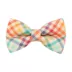 Made By Cleo® Golden Hour Rainbow Plaid Cat Bow Tie image thumbnail 1