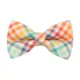 Product Made By Cleo® Golden Hour Rainbow Plaid Cat Bow Tie