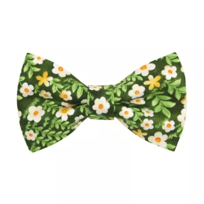 Product Made By Cleo® Hazel Floral Cat Bow Tie