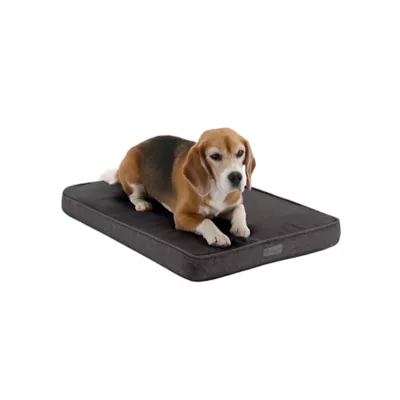 Petsmart memory foam dog bed best sale