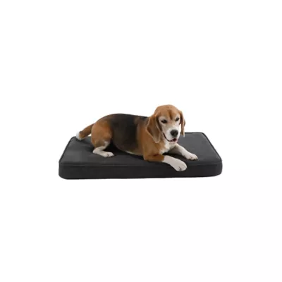 Product Diggs Snooz Orthopedic Memory Foam Dog Bed