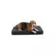 Product Diggs Snooz Orthopedic Memory Foam Dog Bed