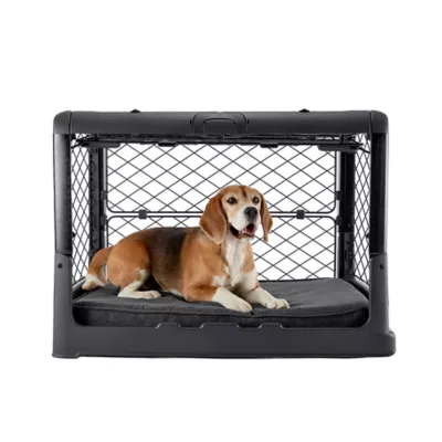 Product Diggs Snooz Orthopedic Memory Foam Dog Bed