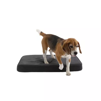 Product Diggs Snooz Orthopedic Memory Foam Dog Bed