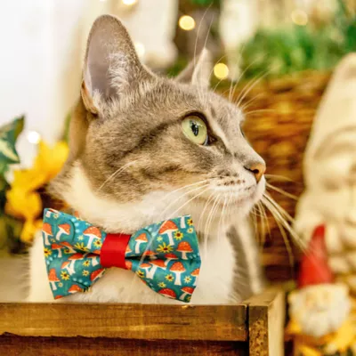 Product Made By Cleo® Magic Mushrooms Toadstool Cat Bow Tie