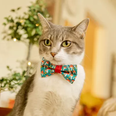Product Made By Cleo® Magic Mushrooms Toadstool Cat Bow Tie