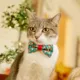 Product Made By Cleo® Magic Mushrooms Toadstool Cat Bow Tie