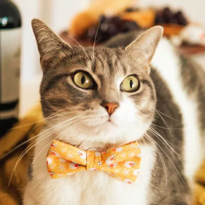 Product Made By Cleo® Mouse Mayhem  Goldenrod Cat Bow Tie