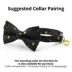 Made By Cleo® Noir Star Cat Bow Tie image thumbnail 2