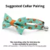 Made By Cleo® Party Pumpkins Halloween Cat Bow Tie image thumbnail 2