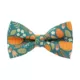 Product Made By Cleo® Pumpkin Patch Fall Cat Bow Tie