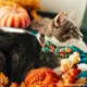 Product Made By Cleo® Pumpkin Patch Fall Cat Bow Tie