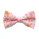 Product Made By Cleo® Sugar & Spice Gingerbread Cat Bow Tie