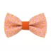 Made By Cleo® Sweet Tooth Candy Corn Cat Bow Tie image thumbnail 1