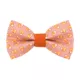 Product Made By Cleo® Sweet Tooth Candy Corn Cat Bow Tie