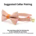 Made By Cleo® Sweet Tooth Candy Corn Cat Bow Tie image thumbnail 2