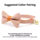 Product Made By Cleo® Sweet Tooth Candy Corn Cat Bow Tie