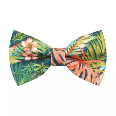 Product Made By Cleo® Tropicalia Palm Leaves Cat Bow Tie