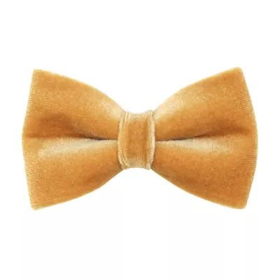 Product Made By Cleo® Velvet  Caramel Gold Cat Bow Tie