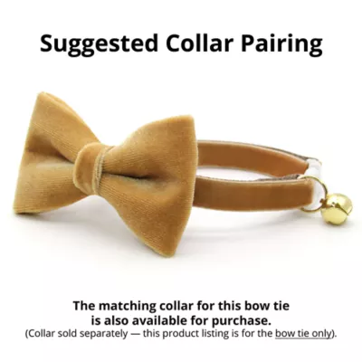 Product Made By Cleo® Velvet  Caramel Gold Cat Bow Tie