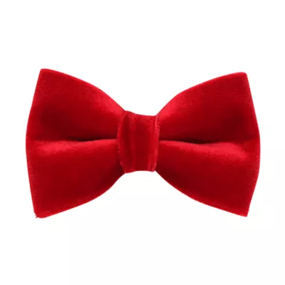 Product Made By Cleo® Velvet Cat Bow Tie