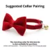Made By Cleo® Velvet Cat Bow Tie image thumbnail 2