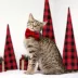 Made By Cleo® Velvet Cat Bow Tie image thumbnail 3