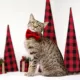 Product Made By Cleo® Velvet Cat Bow Tie