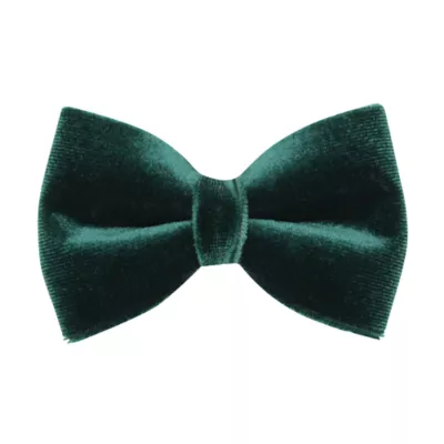 Made By Cleo® Velvet Cat Bow Tie - Image 1