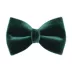 Made By Cleo® Velvet Cat Bow Tie image thumbnail 1