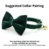 Made By Cleo® Velvet Cat Bow Tie image thumbnail 2